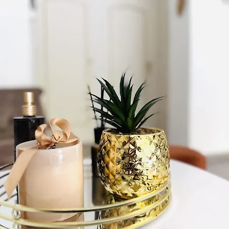 Le Cirodde - Grande Terrasse - Centre -clim Appartement